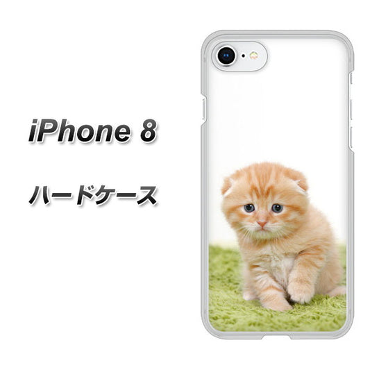 iPhone8 高画質仕上げ 背面印刷 ハードケース【VA802 ネコこっそり】