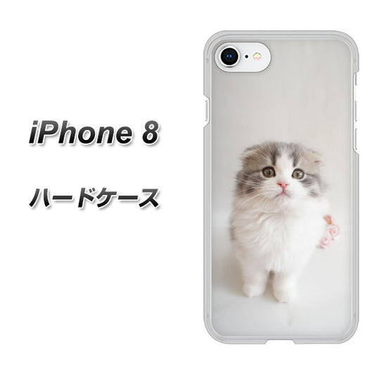 iPhone8 高画質仕上げ 背面印刷 ハードケース【VA803 まっていますネコ】