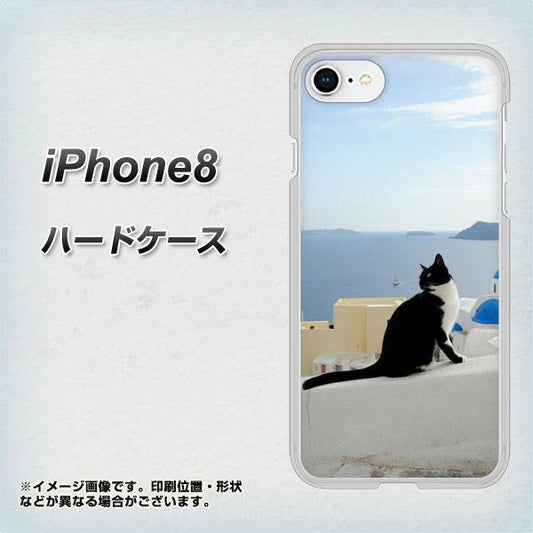 iPhone8 高画質仕上げ 背面印刷 ハードケース【VA805 ネコと地中海】