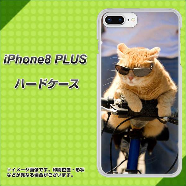 iPhone8 PLUS 高画質仕上げ 背面印刷 ハードケース【595 にゃんとサイクル】