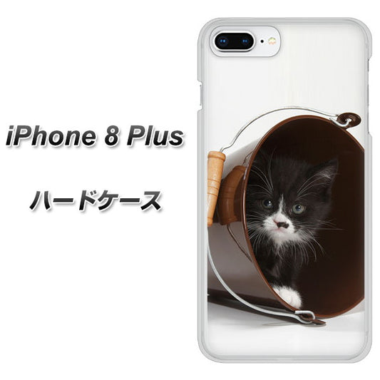 iPhone8 PLUS 高画質仕上げ 背面印刷 ハードケース【VA800 ネコとバケツ】