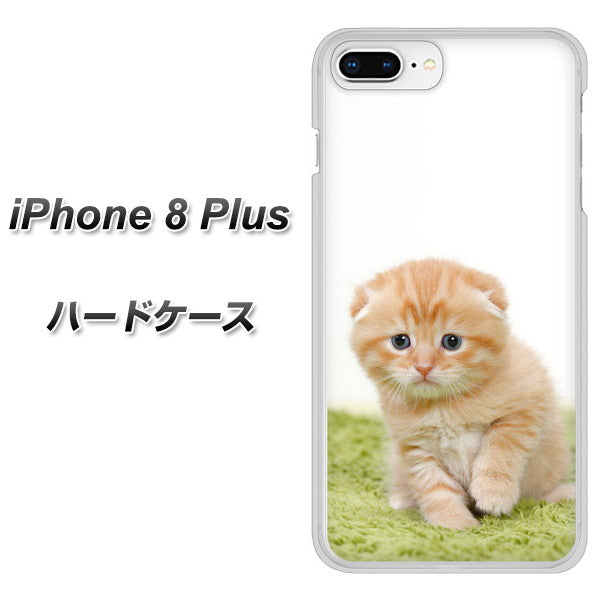 iPhone8 PLUS 高画質仕上げ 背面印刷 ハードケース【VA802 ネコこっそり】
