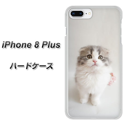 iPhone8 PLUS 高画質仕上げ 背面印刷 ハードケース【VA803 まっていますネコ】