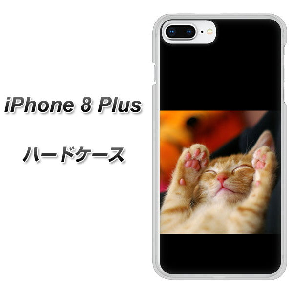 iPhone8 PLUS 高画質仕上げ 背面印刷 ハードケース【VA804 爆睡するネコ】