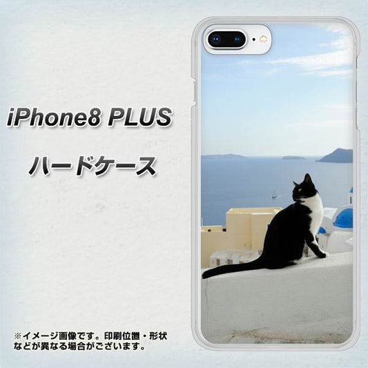 iPhone8 PLUS 高画質仕上げ 背面印刷 ハードケース【VA805 ネコと地中海】