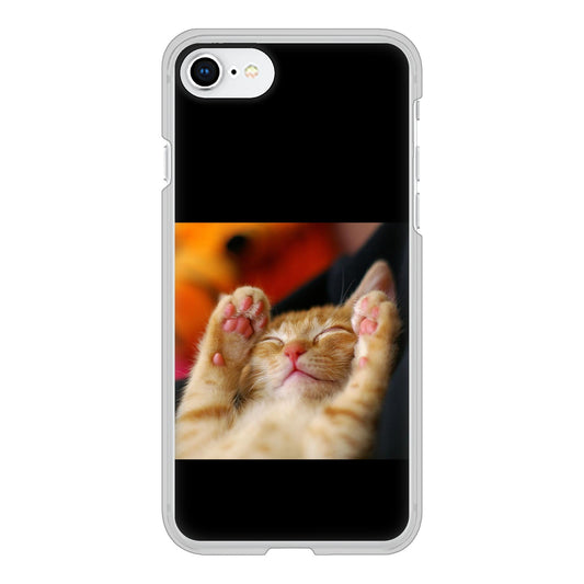iPhone SE (第2世代) 高画質仕上げ 背面印刷 ハードケース 【VA804 爆睡するネコ】