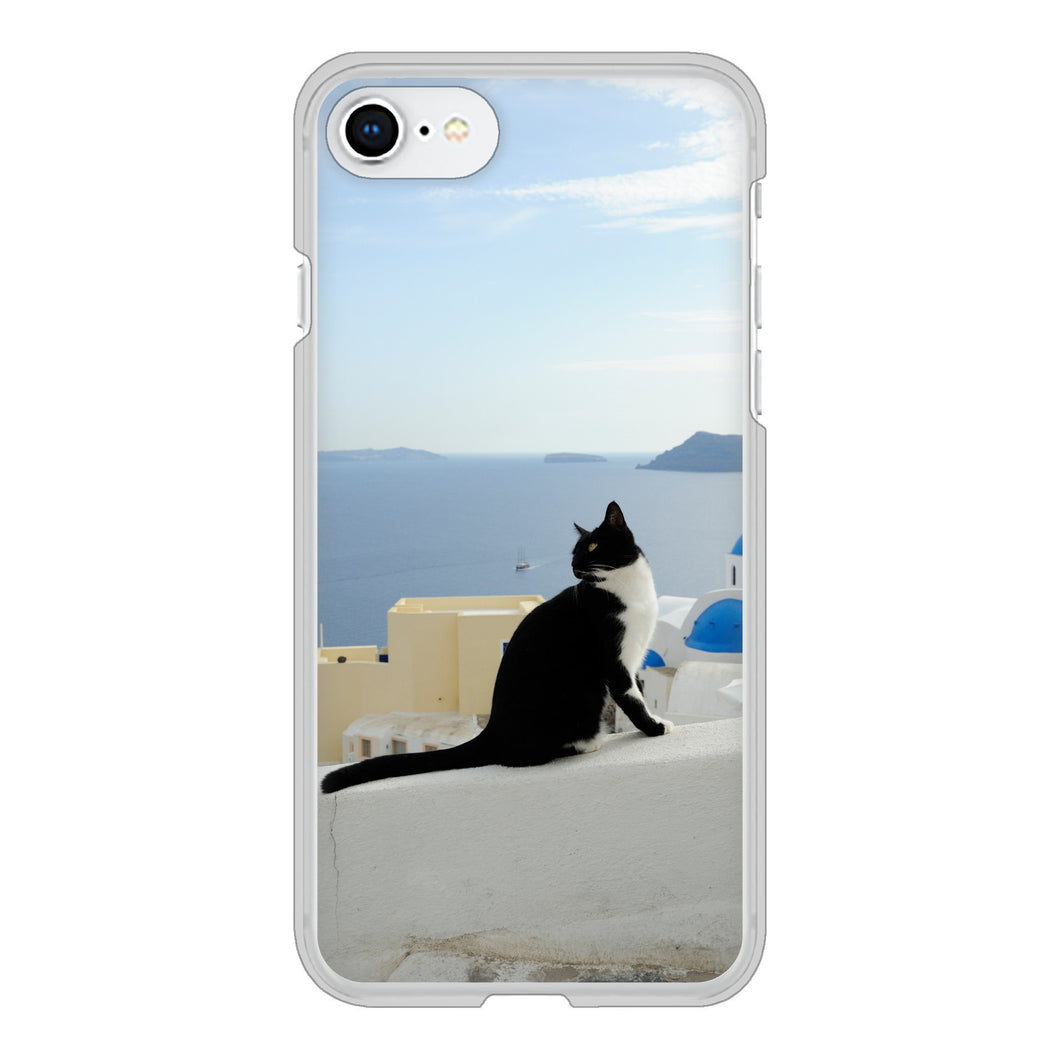 iPhone SE (第2世代) 高画質仕上げ 背面印刷 ハードケース 【VA805 ネコと地中海】