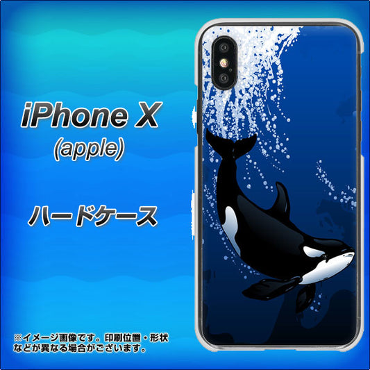 iPhone X 高画質仕上げ 背面印刷 ハードケース【423 シャチ】