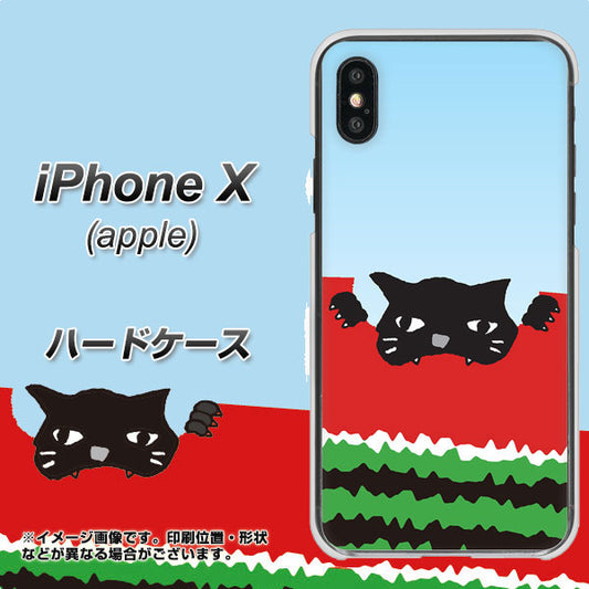 iPhone X 高画質仕上げ 背面印刷 ハードケース【IA815 すいかをかじるネコ(大)】