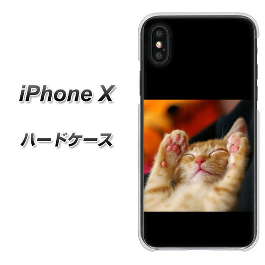 iPhone X 高画質仕上げ 背面印刷 ハードケース【VA804 爆睡するネコ】