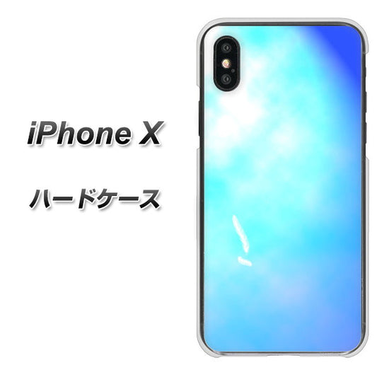iPhone X 高画質仕上げ 背面印刷 ハードケース【YJ291 デザイン　光】