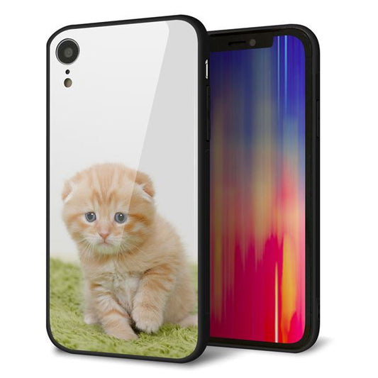 iPhone XR 強化ガラス&TPUスマホケース ガラプリ【VA802 ネコこっそり】