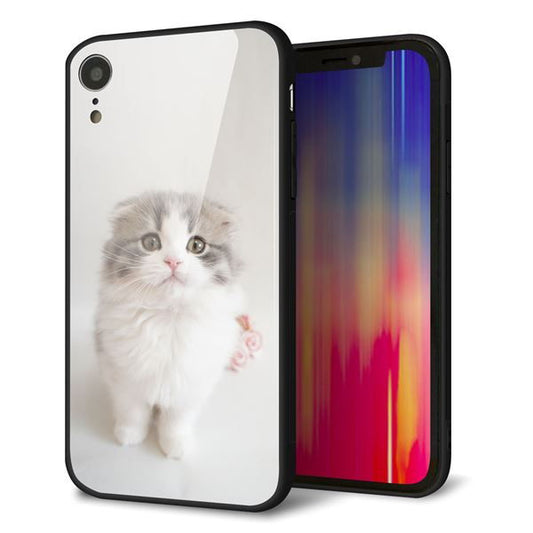 iPhone XR 強化ガラス&TPUスマホケース ガラプリ【VA803 まっていますネコ】