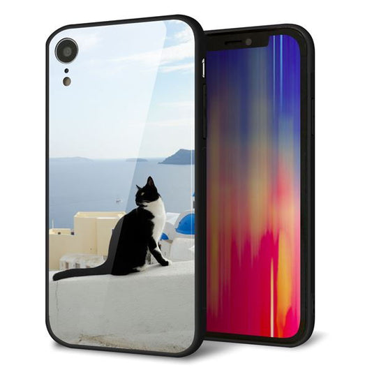 iPhone XR 強化ガラス＆TPUスマホケース ガラプリ【VA805 ネコと地中海】