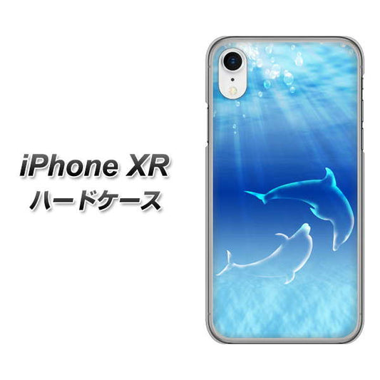 iPhone XR 高画質仕上げ 背面印刷 ハードケース【1048 海の守り神イルカ】