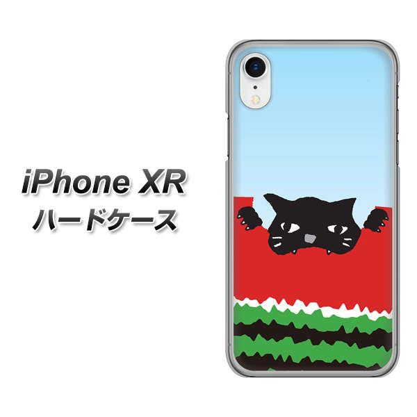 iPhone XR 高画質仕上げ 背面印刷 ハードケース【IA815 すいかをかじるネコ(大)】