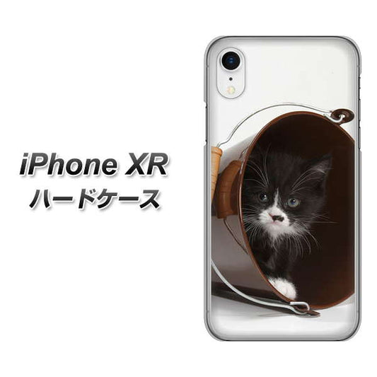 iPhone XR 高画質仕上げ 背面印刷 ハードケース【VA800 ネコとバケツ】