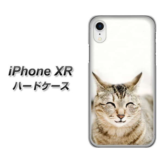 iPhone XR 高画質仕上げ 背面印刷 ハードケース【VA801 笑福ねこ】