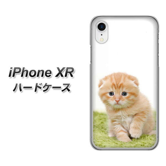 iPhone XR 高画質仕上げ 背面印刷 ハードケース【VA802 ネコこっそり】