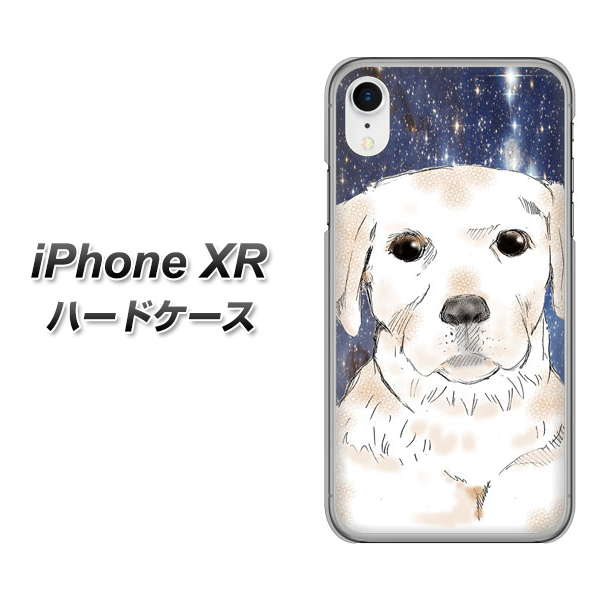 iPhone XR 高画質仕上げ 背面印刷 ハードケース【YD820 ラブラドールレトリバー01】