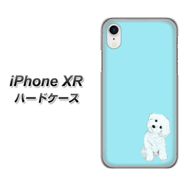 iPhone XR 高画質仕上げ 背面印刷 ハードケース【YJ070 トイプードルホワイト(ブルー)】