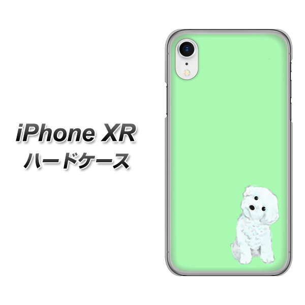 iPhone XR 高画質仕上げ 背面印刷 ハードケース【YJ071 トイプードルホワイト(グリーン)】
