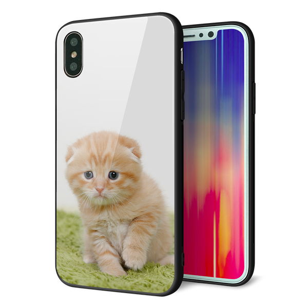 iPhone XS 強化ガラス&TPUスマホケース ガラプリ【VA802 ネコこっそり】