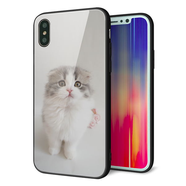 iPhone XS 強化ガラス&TPUスマホケース ガラプリ【VA803 まっていますネコ】