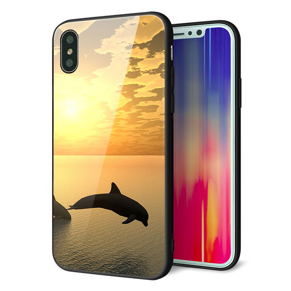 iPhone XS 強化ガラス&TPUスマホケース ガラプリ【VA845 夕暮れのドルフィン】