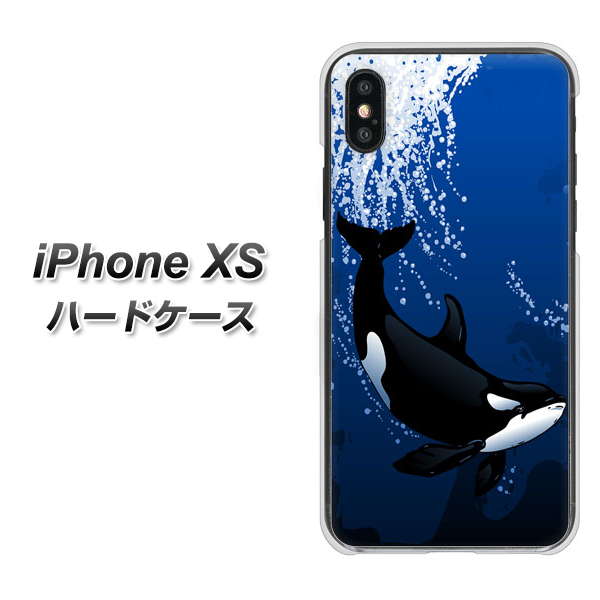 iPhone XS 高画質仕上げ 背面印刷 ハードケース【423 シャチ】