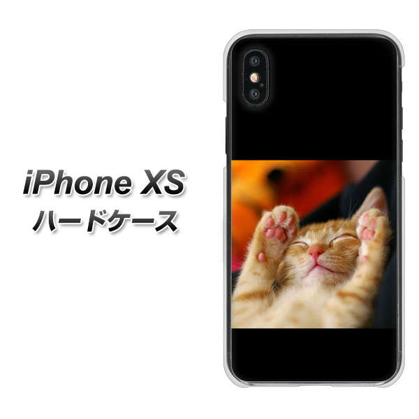 iPhone XS 高画質仕上げ 背面印刷 ハードケース【VA804 爆睡するネコ】