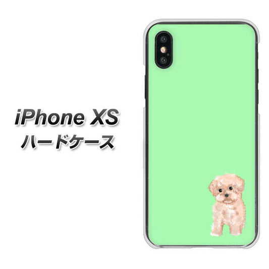 iPhone XS 高画質仕上げ 背面印刷 ハードケース【YJ063 トイプードルアプリコット(グリーン)】