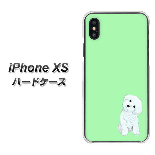 iPhone XS 高画質仕上げ 背面印刷 ハードケース【YJ071 トイプードルホワイト(グリーン)】