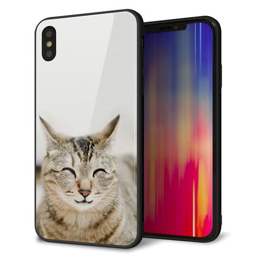 iPhone XS Max 強化ガラス&TPUスマホケース ガラプリ【VA801 笑福ねこ】
