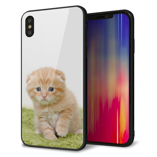iPhone XS Max 強化ガラス&TPUスマホケース ガラプリ【VA802 ネコこっそり】