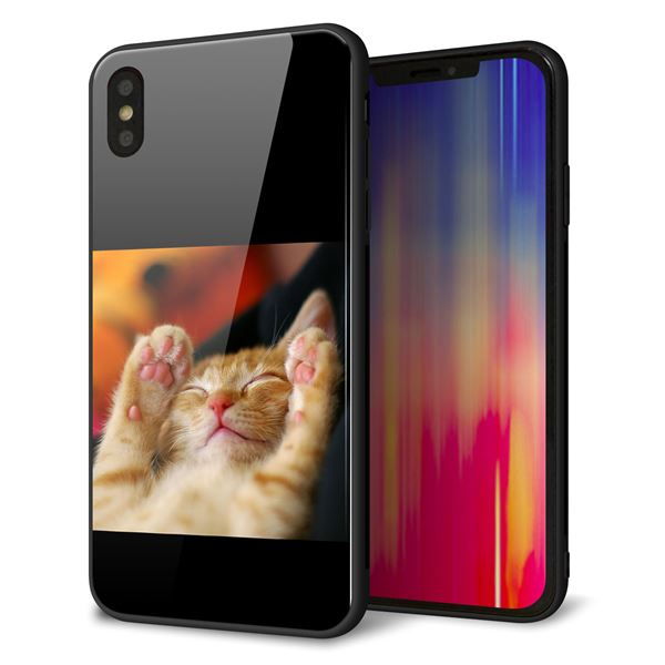 iPhone XS Max 強化ガラス&TPUスマホケース ガラプリ【VA804 爆睡するネコ】
