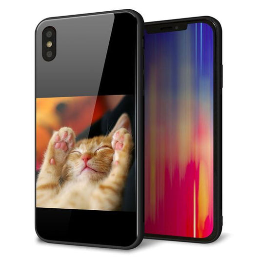 iPhone XS Max 強化ガラス&TPUスマホケース ガラプリ【VA804 爆睡するネコ】