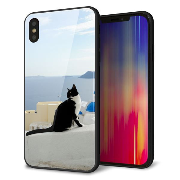 iPhone XS Max 強化ガラス&TPUスマホケース ガラプリ【VA805 ネコと地中海】