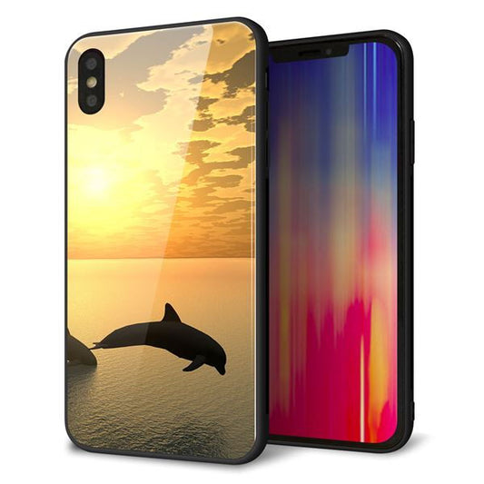 iPhone XS Max 強化ガラス&TPUスマホケース ガラプリ【VA845 夕暮れのドルフィン】