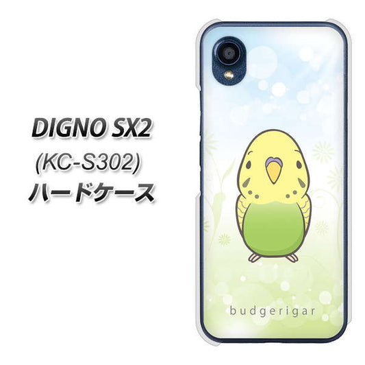DIGNO SX2 KC-S302 高画質仕上げ 背面印刷 ハードケース【SC838 セキセイインコ グリーン】