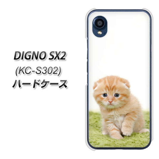 DIGNO SX2 KC-S302 高画質仕上げ 背面印刷 ハードケース【VA802 ネコこっそり】