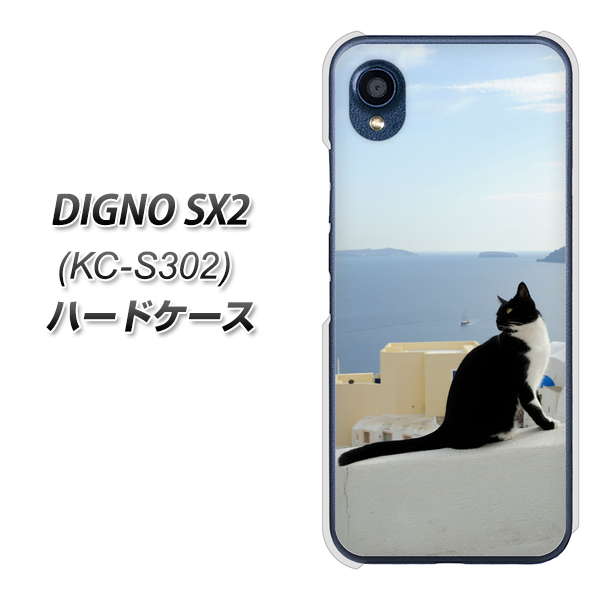 DIGNO SX2 KC-S302 高画質仕上げ 背面印刷 ハードケース【VA805 ネコと地中海】