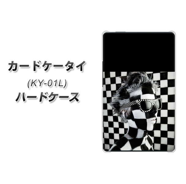 docomo カードケータイ KY-01 高画質仕上げ 背面印刷 ハードケース【357 bk&wh】