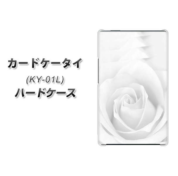 docomo カードケータイ KY-01 高画質仕上げ 背面印刷 ハードケース【402 ホワイトRose】