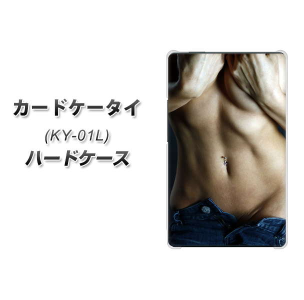 docomo カードケータイ KY-01 高画質仕上げ 背面印刷 ハードケース【602 ボディライン】