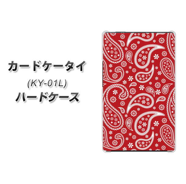 docomo カードケータイ KY-01 高画質仕上げ 背面印刷 ハードケース【765 ペイズリーエンジ】