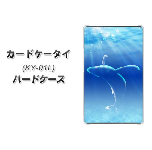 docomo カードケータイ KY-01 高画質仕上げ 背面印刷 ハードケース【1047 海の守り神くじら】