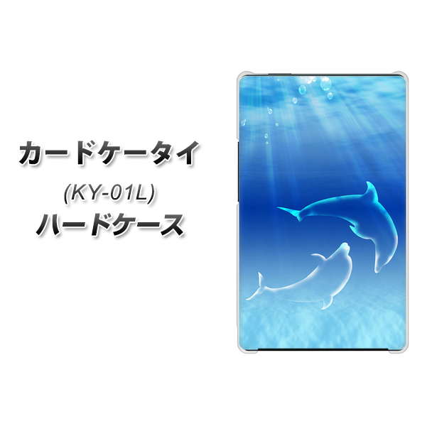 docomo カードケータイ KY-01 高画質仕上げ 背面印刷 ハードケース【1048 海の守り神イルカ】
