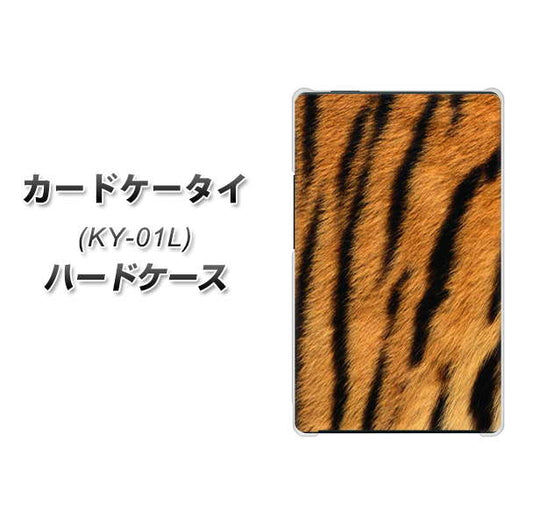 docomo カードケータイ KY-01 高画質仕上げ 背面印刷 ハードケース【EK847 虎柄】