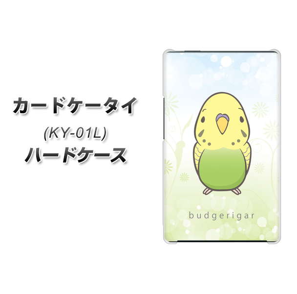 docomo カードケータイ KY-01 高画質仕上げ 背面印刷 ハードケース【SC838 セキセイインコ グリーン】